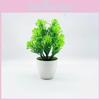 Odorata Aglaia Lour Potted Plant Bonsai Living Room And Decoration Event