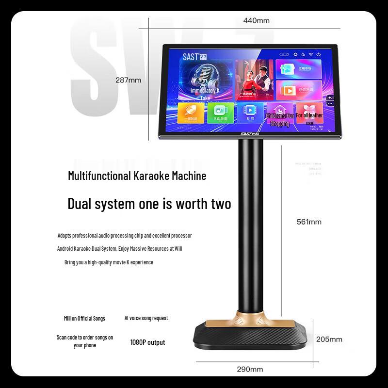 SAST Professional Home KTV Karaoke Machine CN Plug (adapter Included)