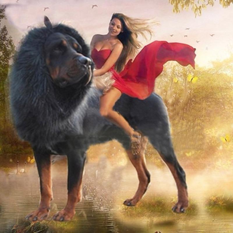 King of the Jungle Pet Transform Costume Funny Dog Lion Wig Hat Pet Lion Mane Headpiece for Dogs Celebration Dress Up