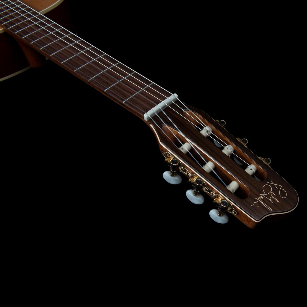 Godin Nylon Guitar Classical Guitar Solid Cedar Top Motif 049738 []