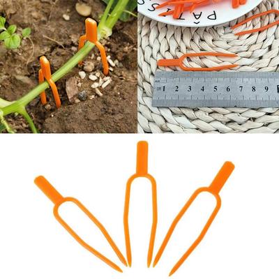 Ferramentas de jardinagem – Fitas e clipes para amarração de plantas