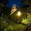 JYL TS/044,Iron Kingfisher Carrying Lantern Solar Ground Stake Light for Garden Landscape Decor Night Lamp