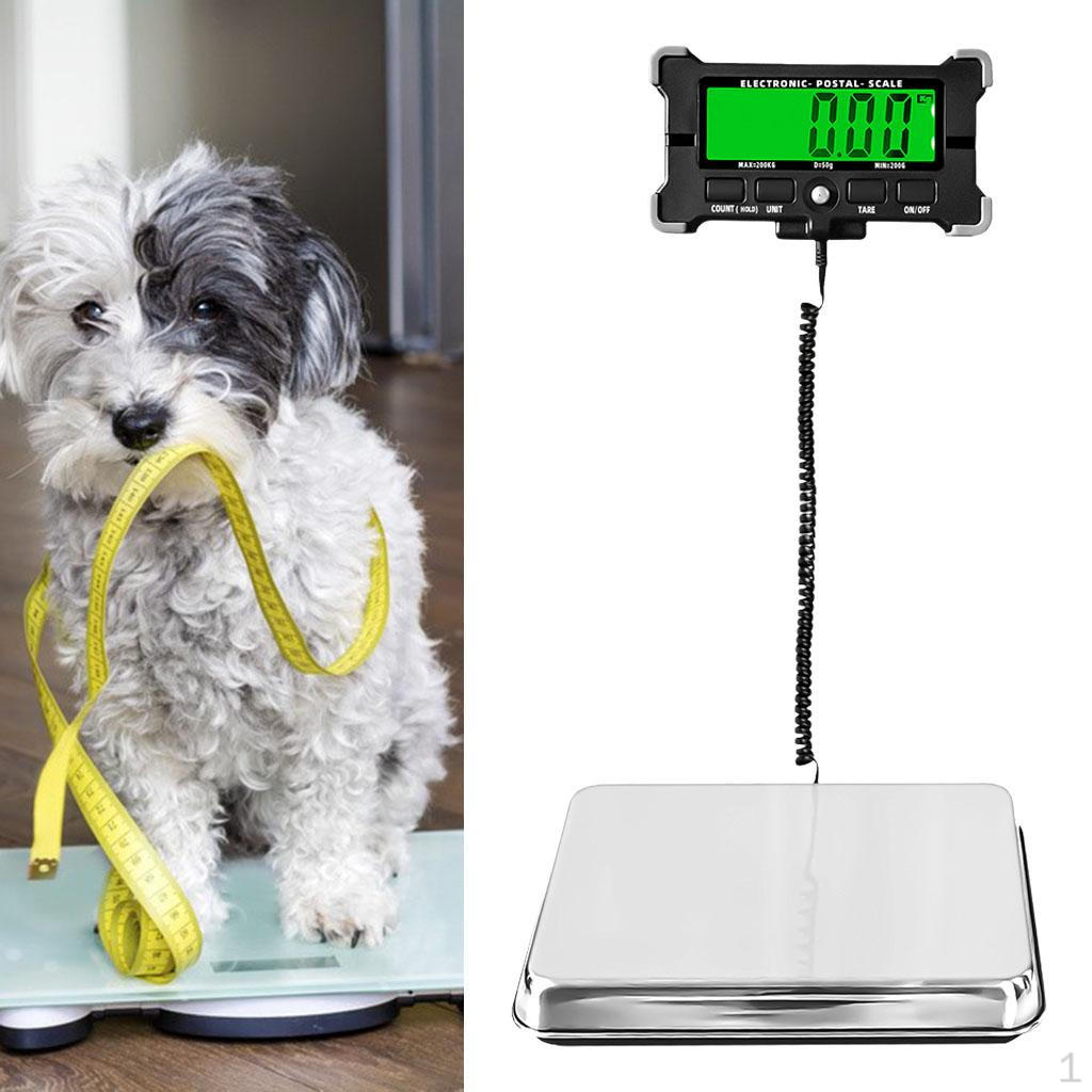 

Multifunction Animal Pet Scale Creative Stainless Steel Mail for Home Post Office