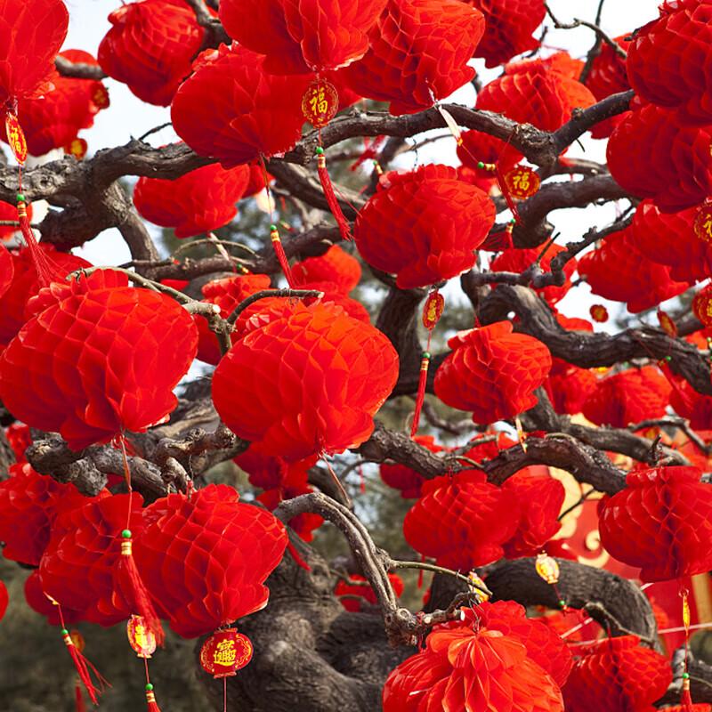 

Honeycomb Paper Lanterns for Celebrations