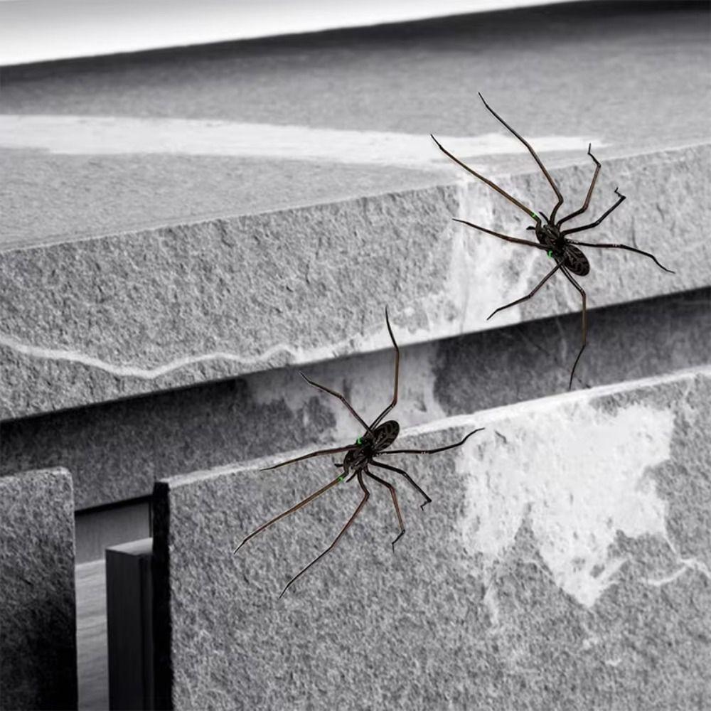 3D Design Simulation Spinne Spielzeug Magnet Spinne Streichspielzeug Spinnen Dekoration Halloween Party