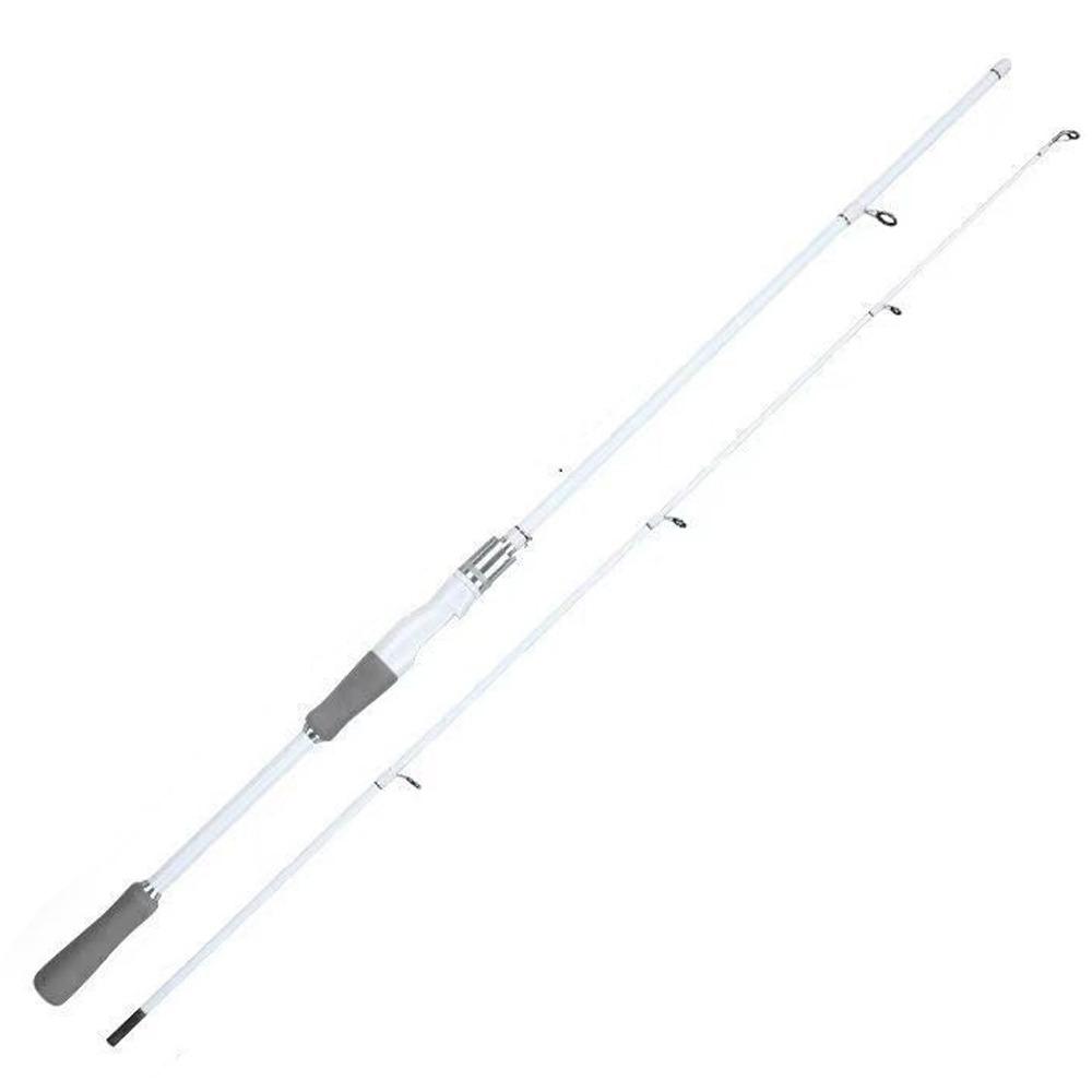 2 Sections Spinning Fishing Rod Spinning