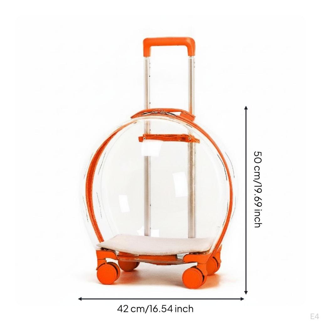 Cage de transport transparente pour animaux de compagnie avec roues, transparente, roulante, construction robuste, bagage pour chats, petits animaux