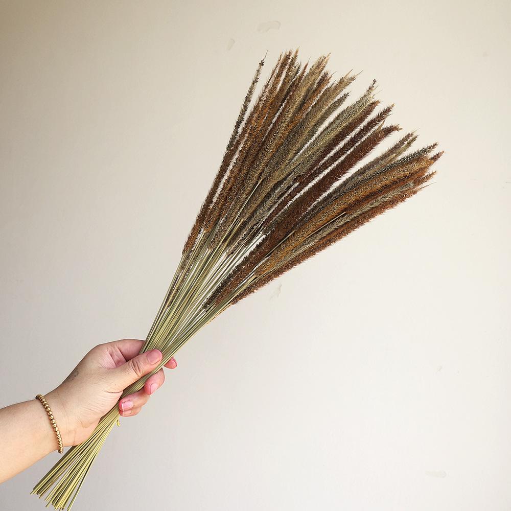 Wabi-sabi Dried Flower Arrangement: Reed, Pine Cones, Cotton, Wheat, Poppy Bouquet