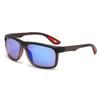 Unique Oval Design Frame Polarized Sunglasses  Summer Outdoor Sun Protection