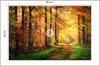 Photomural Forest Autumn Colours Smooth Vinyl 90x60