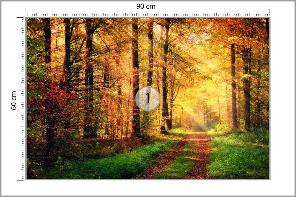 Photomural Forest Autumn Colours Smooth Vinyl 90x60