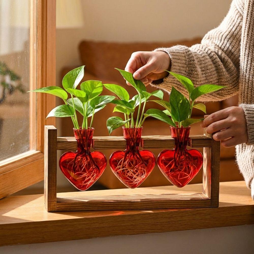 Wooden Stand Hydroponic Plant Vase Transparent Plant Propagation Station Modern Flower Pot  Office