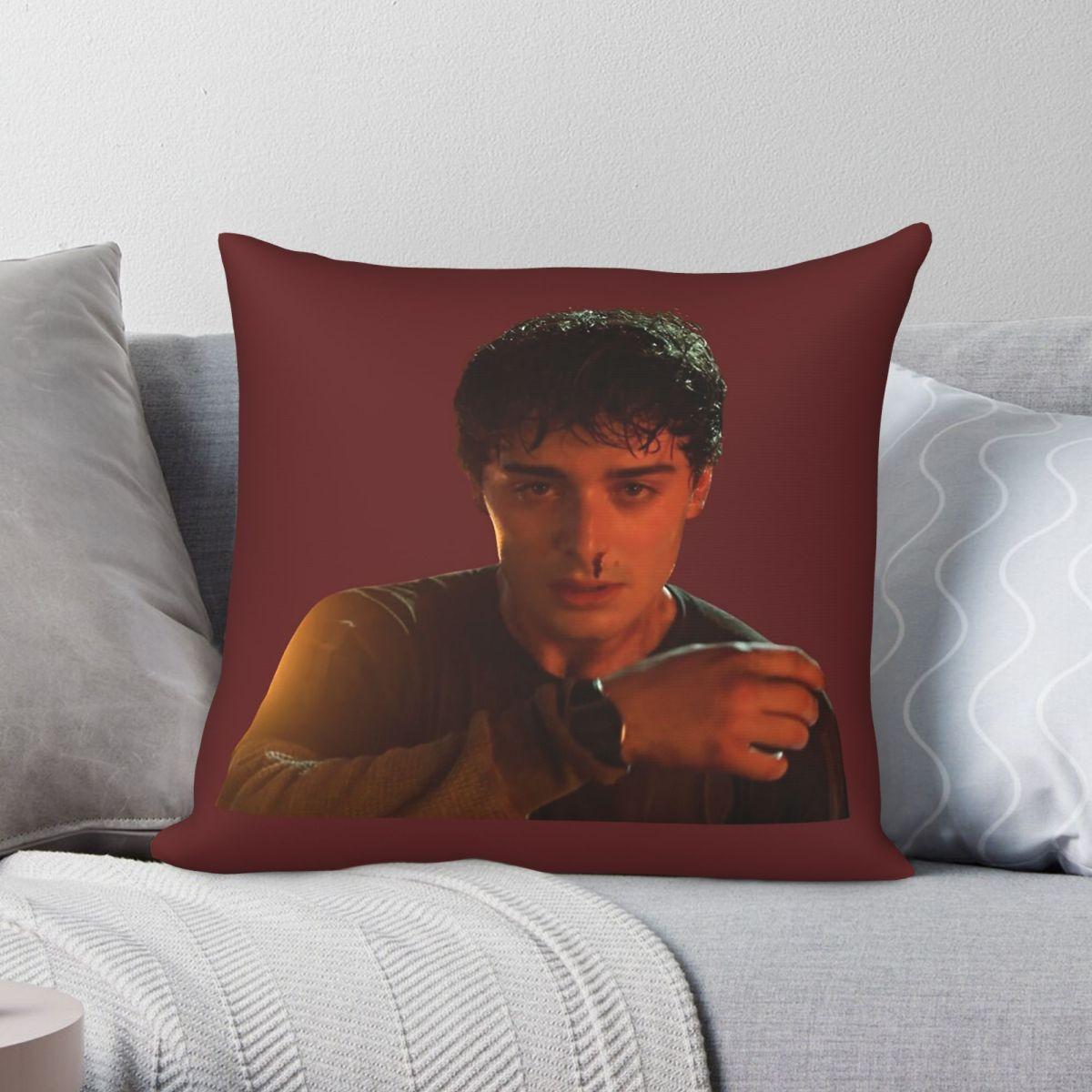 Exquisite Ornaments Unisex Will Byers Noah Schnapp Pillowcase Polyester Linen Velvet Pattern Zip Decor Pillow Case Home Cushion Cover 18