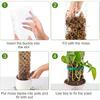 GROWNEER 4 Packs 24 Inch Plastic Moss Pole for Plants Monstera, Stackable Plant Support for Indoor Climbing Plants, Clear Plant Poles with 10FT