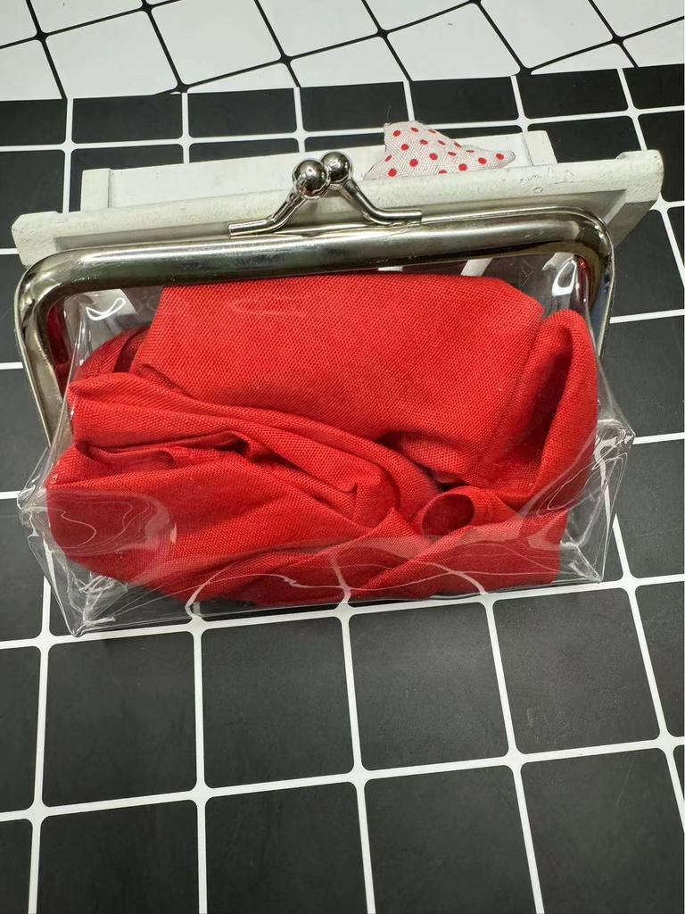 4-tums transparent myntplånbok nyckelring