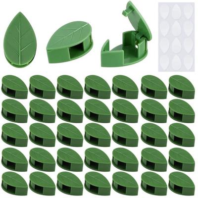 10Pcs Acrylic Sticker Plant Vine Traction Holder Self-Adhesive Grafting Clip  Garden