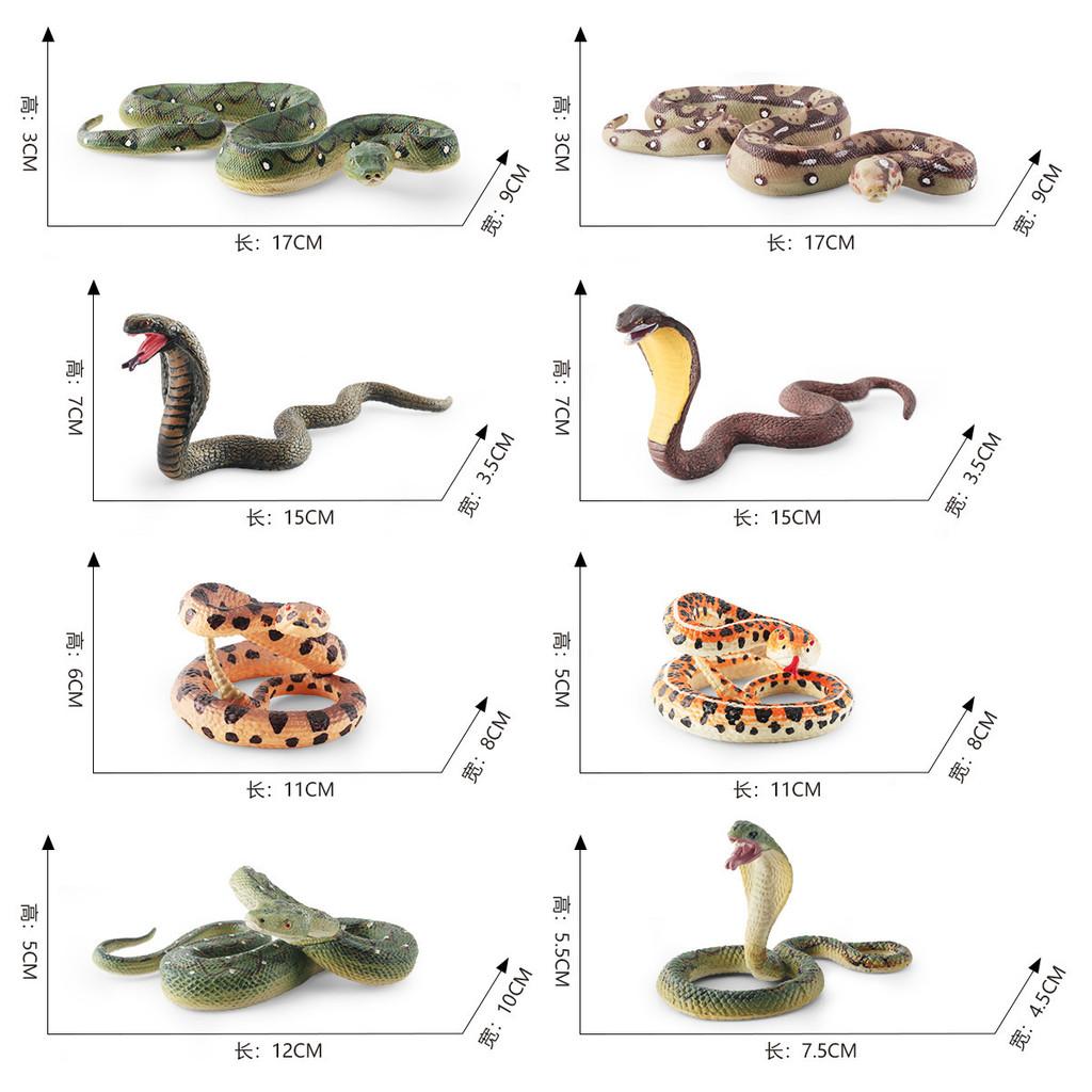 Realistic Snake Model Static Desk Ornament For Reptile Enthusiasts