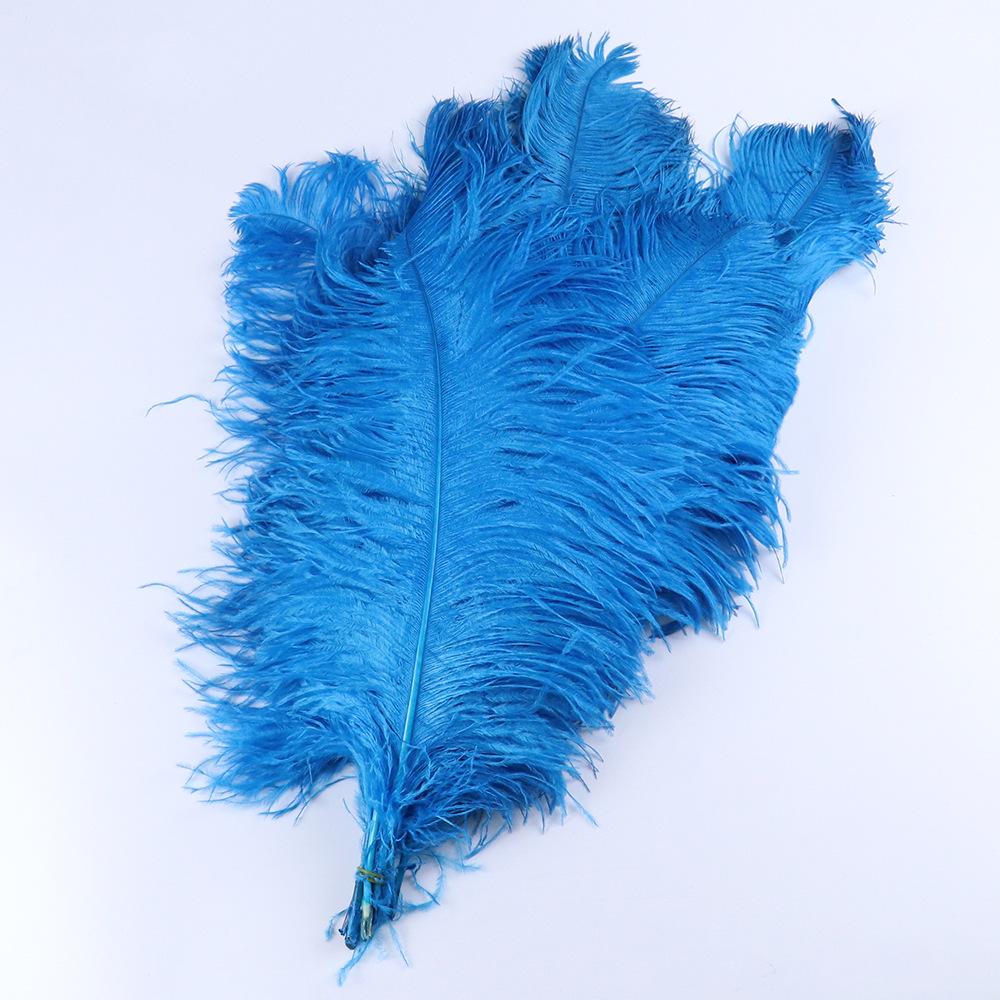 Struisvogelhaar 60-65Cm Zuid-Afrikaans Geïmporteerd Veer Sieraden Accessoires Mode Populair Decoratieve Ornamenten Dons Katoen