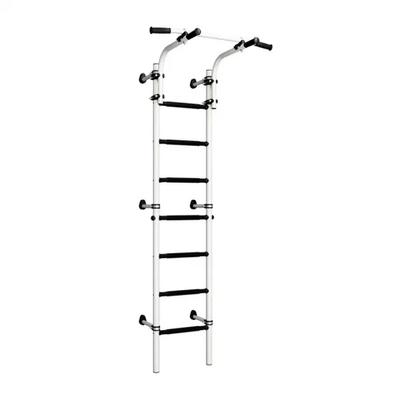 Teenager Wall-mounted Gymnastics Ladder - White and Black