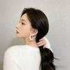 Hair Generation Plush C-Shaped Earrings Temperament Fashionable Large Earrings Women'S High-End Fluffy Large Earrings Jewelry
