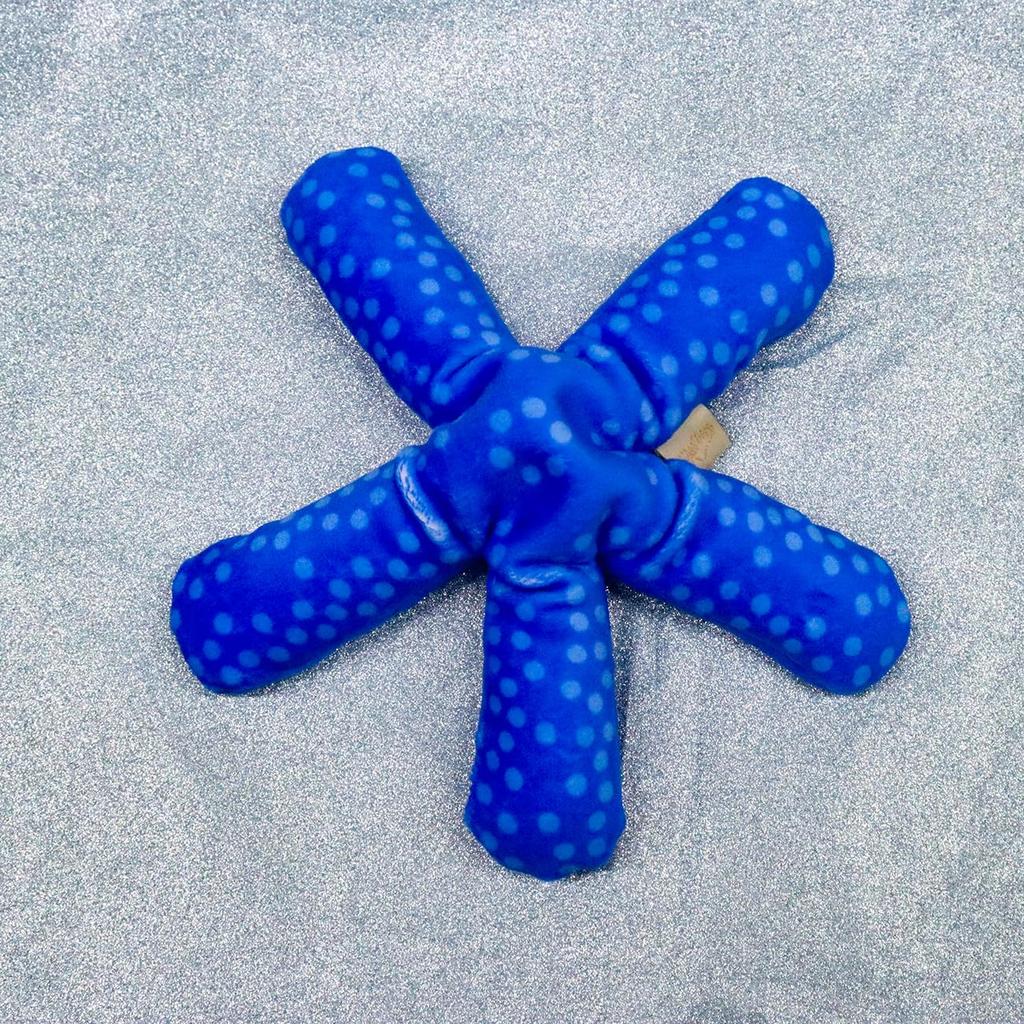 Take Off Mysterious Touch Pokepuni Blue Starfish