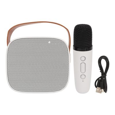 P2 Mini Karaoke Machine Portable Bluetooth Speaker with Wireless Microphone for Adults Kids White
