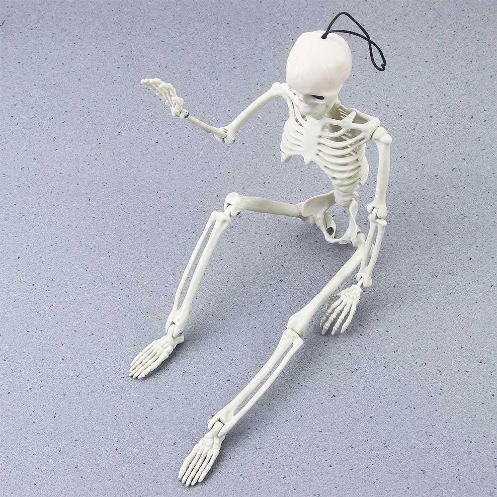 Parties Accessories Halloween Props Skeleton Model Human Bones Car Rearview Mirror Pendant