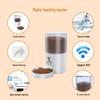 Smart Cat Feeder with Camera and Remote Monitoring