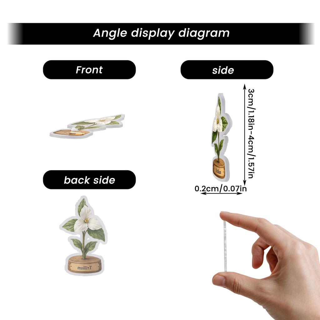 2D Flat Acrylic Airplane Pendant - Pcs Hanging for Collectors and Decoration