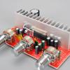 DC12v Car Diy Stereo Dual Channel Amplifier Board with Silver Plated Knobs 50Wx2 High Power And Advanced Chip 13135