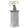 VidaXL Pedestal with Storage Concrete Grey 31x30x60 Cm Engineered Wood, Display Case, Display Stand, Presentation Shelf, Stand 854619