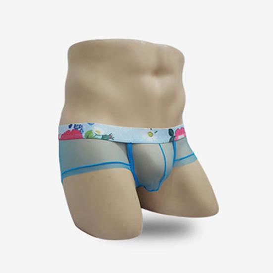 Men's Fashion Sexy See-through Underpants U Convex Thin Mesh Briefs Underwear