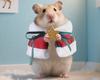 Süßer Weihnachtsumhang für Kleintiere, warm und winddicht, für Hamster, Papageien