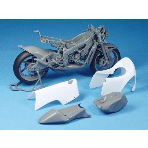 Hasegawa 1/12 Scale Scott Racing Team Honda NSR250RW 2009 WGP250 Champion Plastic Model Kit, BK1