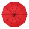 Automatic Double-Layer 10-Rib Windproof Umbrella