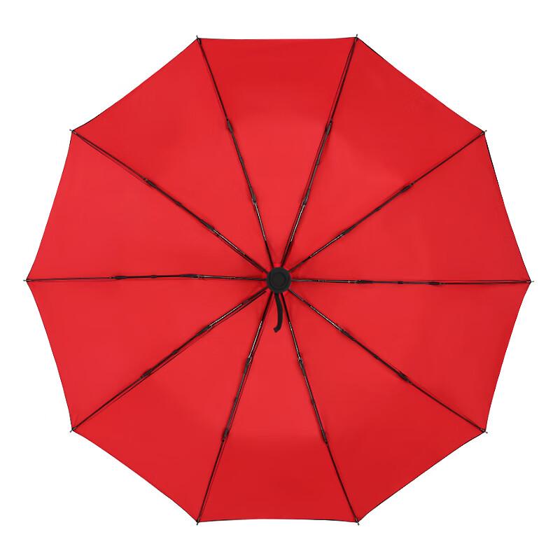 Automatic Double-Layer 10-Rib Windproof Umbrella