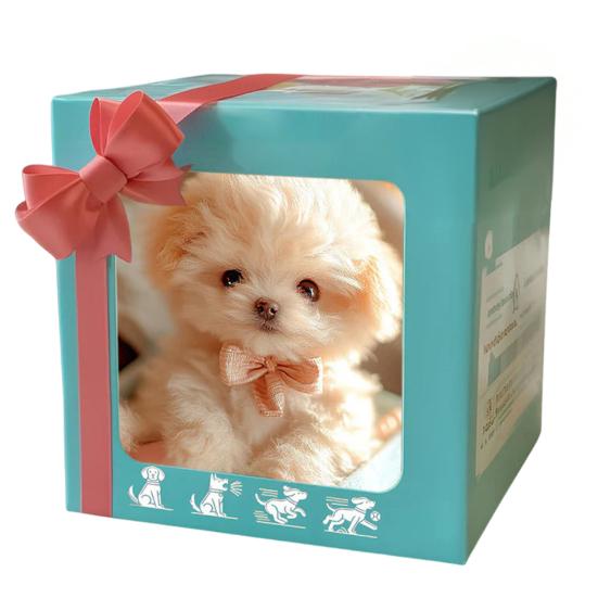 Plush Sitting Koala Simulation Soft Stuffed Animal Cozy Dog Panda Koala Plush Doll for Children Christmas Gifts