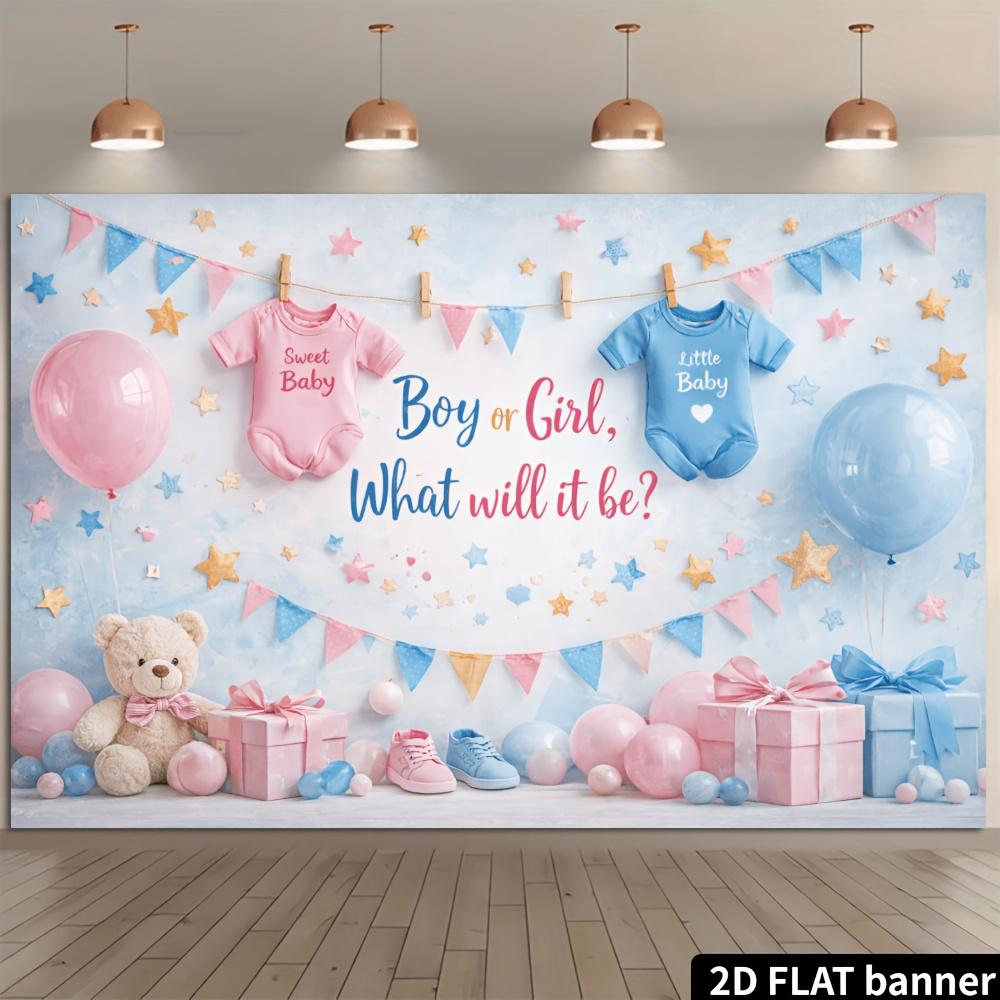 2D Plane Gender Reveal Party Background Banner - Pink and Blue Flags Theme, Suitable for Indoor and Outdoor Celebrations