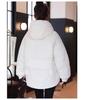 Women’s Short Hooded Windproof Thicken Warm Winter Jacket 4 Colors