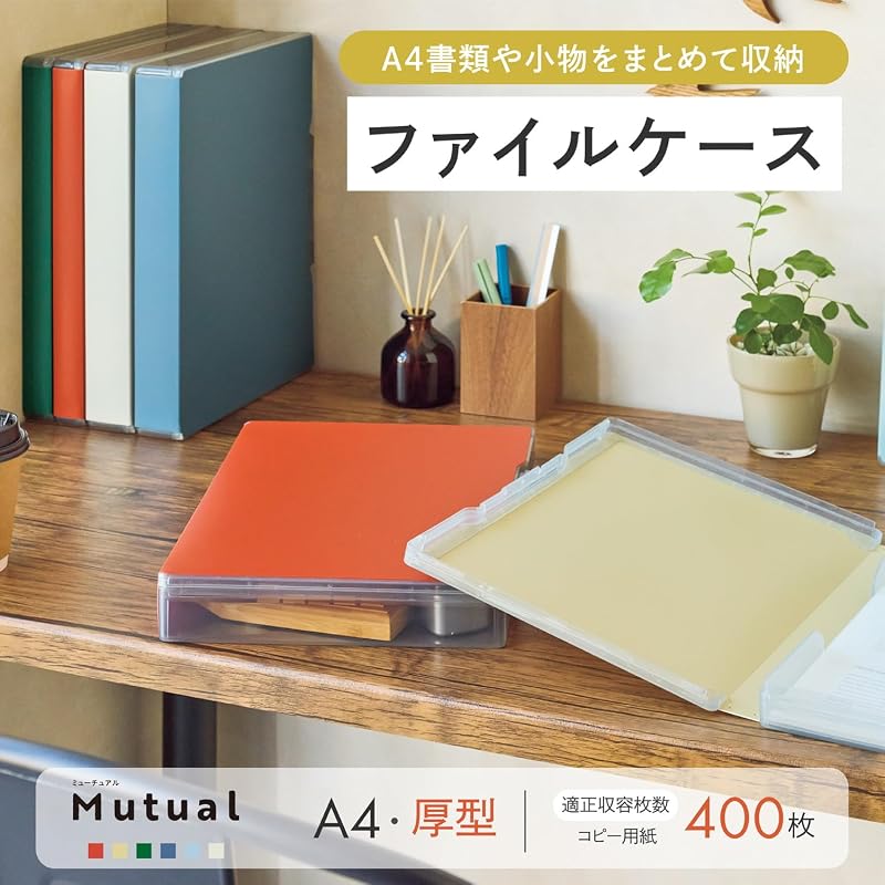 LIHIT LAB Mutual File Case A4 Thick Type Ivory A2039-16