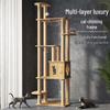 Jingzhou Multi-Level Cat Tree & Activity Center