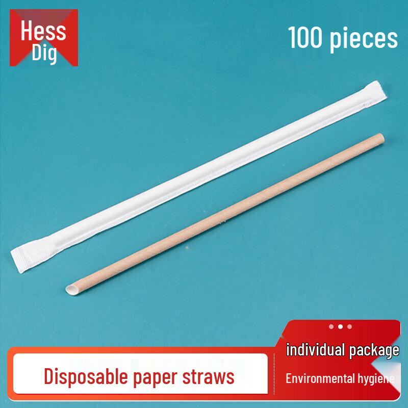 Hesdige Disposable Kraft Paper Straws