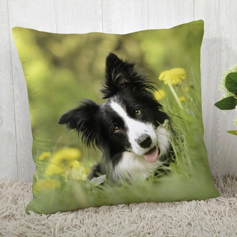 Pillowcase Border Collie  Modern Home Living Room Decor