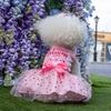 CuteBone Dog Dress Birthday Girl Puppy Princess Clothes Costume Cat Apparel Small Dogs Pet Outfit DD20S