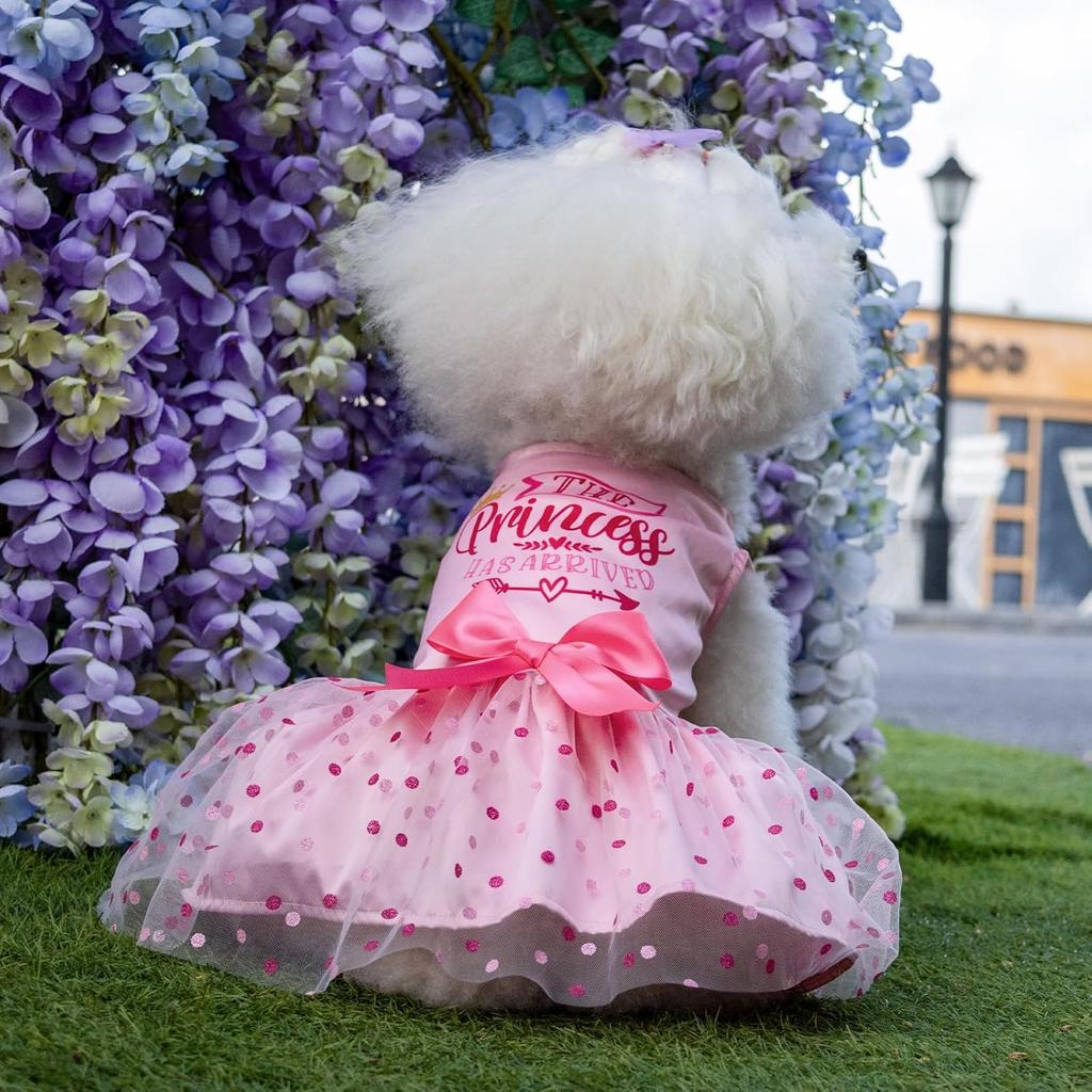 CuteBone Dog Dress Birthday Girl Puppy Princess Clothes Costume Cat Apparel Small Dogs Pet Outfit DD20S