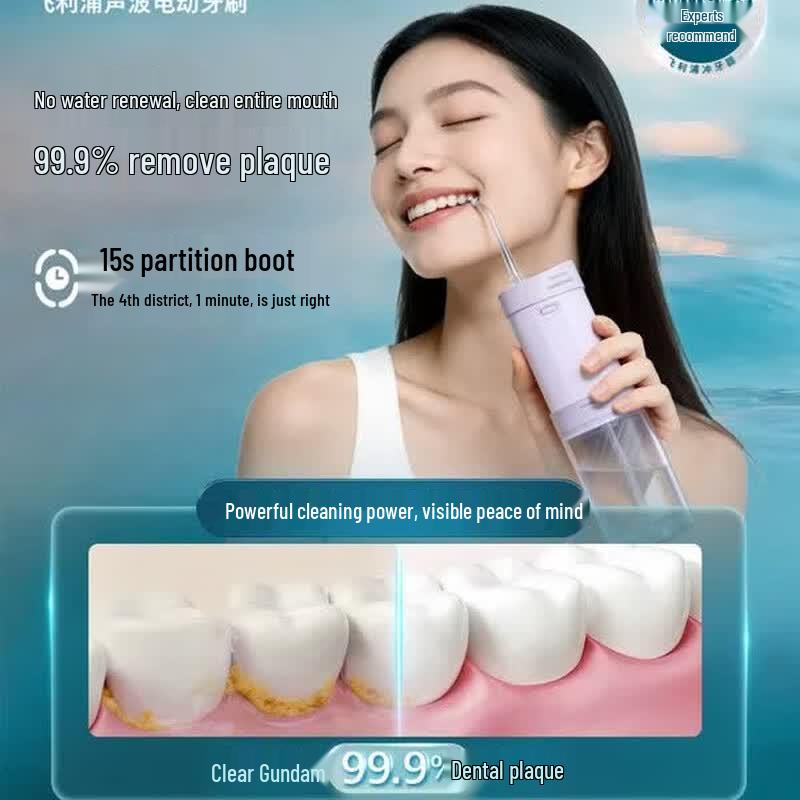 Philips HX3333 Sonic Electric Toothbrush CN plug (adapter included)
