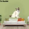 Tri koshki RC035 Anime Dog Ragdoll Sticker Waterproof PVC Decoration Door Living Room Kids Room