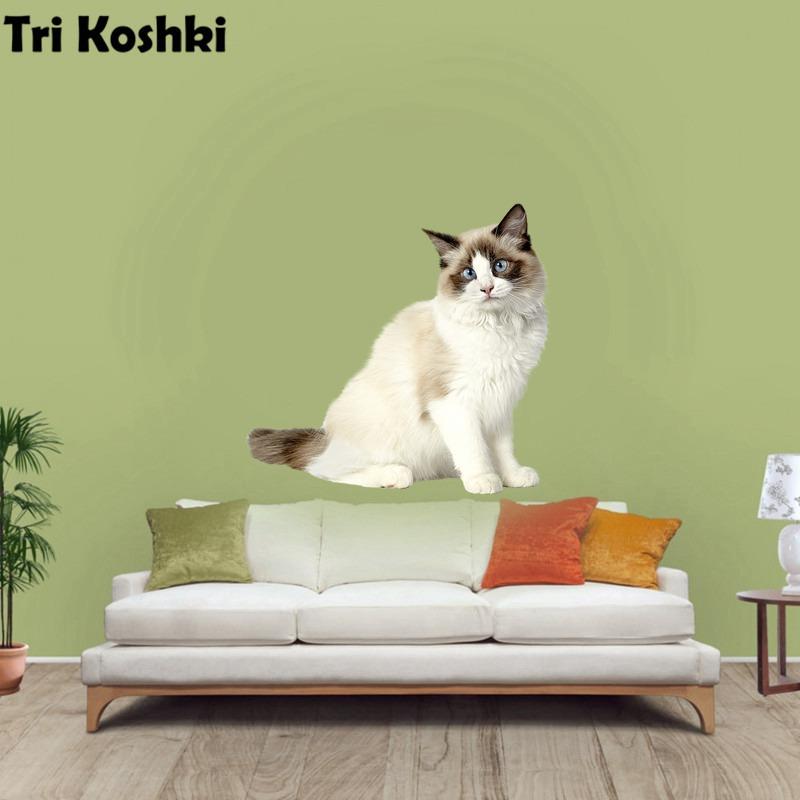 Tri koshki RC035 Anime Dog Ragdoll Sticker Waterproof PVC Decoration Door Living Room Kids Room