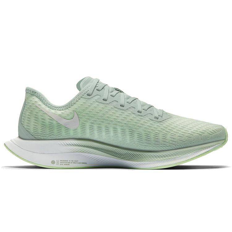 Nike Zoom Pegasus Turbo 2 Women's AT8242-301