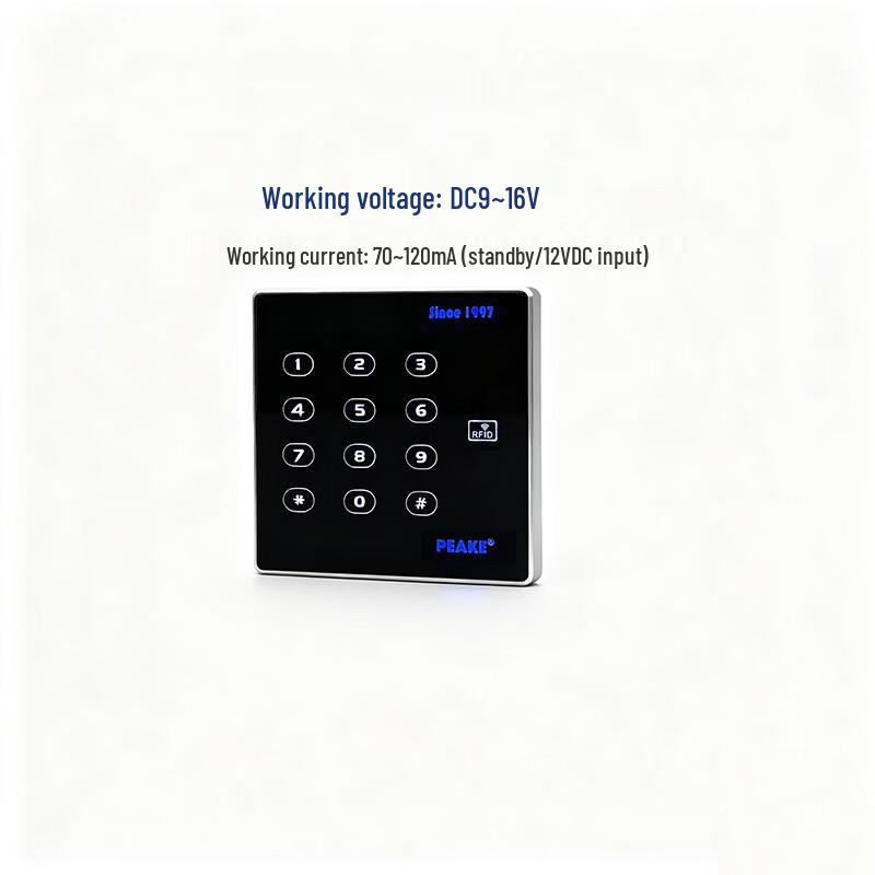 Pike Access Control CPU Password Card Reader